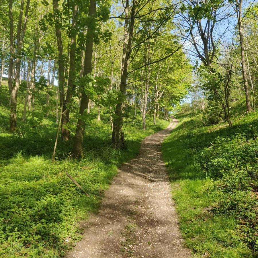 Holly Cottage, Hidden Gem In The Yorkshire Wolds Welton  Luaran gambar