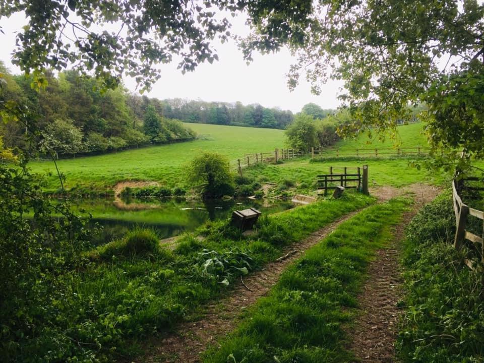Holly Cottage, Hidden Gem In The Yorkshire Wolds Welton  Luaran gambar